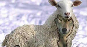 Un peuple de moutons finit par engendrer un gouvernement de loups.