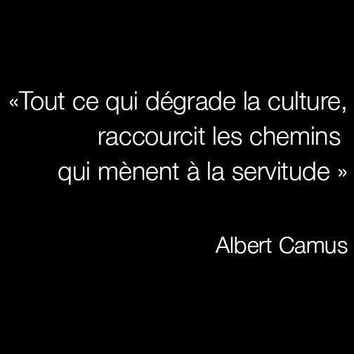 Citation Albert Camus Culture Chemin Tout Ce Qui