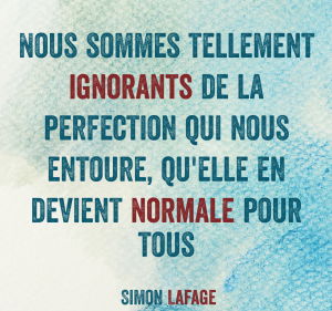 Nous sommes tellement ignorants de la perfection qui nous entoure,