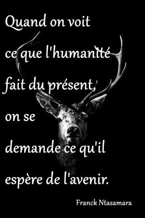 Humanite Et Avenir 10 Citations Courtes Et Proverbes