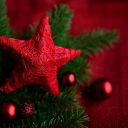 Le quiz de Noël est sorti, êtes-vous de taille à l'affronter ? Le quiz de Noël est sorti, êtes-vous de taille à l'affronter ?