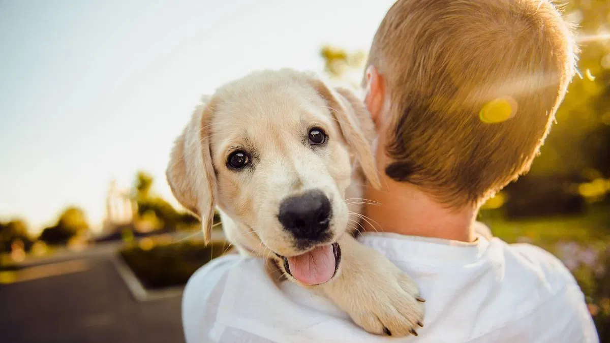 Textes pour chien : célébrez l'amour pour votre fidèle compagnon !