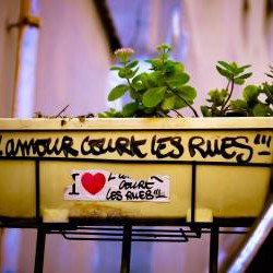 Pourquoi certaines phrases nous apaisent plus que des conseils : le pouvoir des citations Pourquoi certaines phrases nous apaisent plus que des conseils : le pouvoir des citations