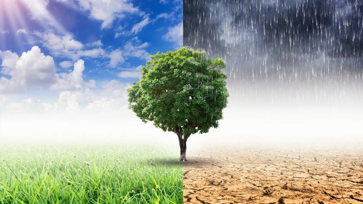 Quiz Spécial Journée Mondiale du Climat : saurez-vous éviter la surchauffe ?