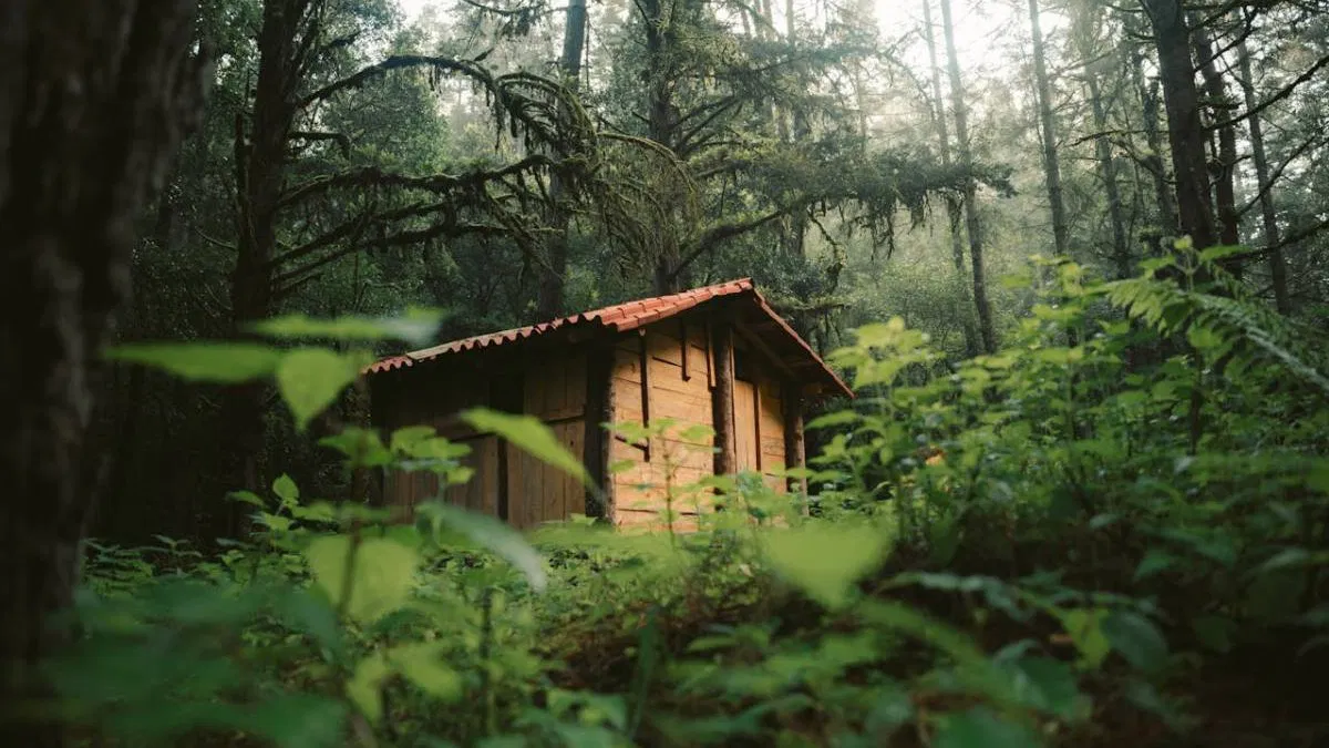 Journée de la Terre : Henry David Thoreau, le philosophe qui avait tout compris
