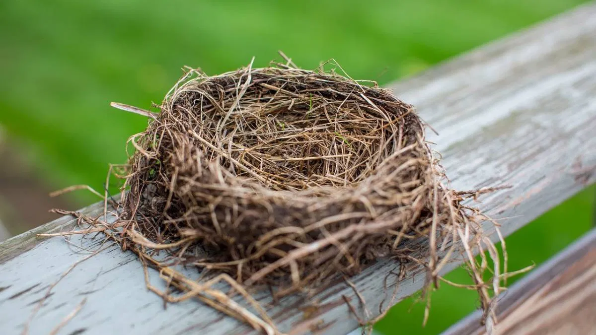 Quand la maison devient trop grande : ce que l'on ressent vraiment quand les enfants partent