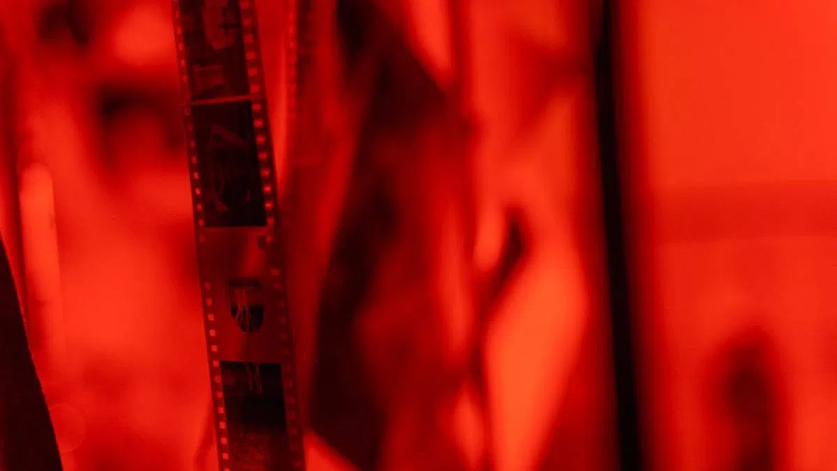 Quiz cinéma : 15 questions difficiles pour tester vos connaissances de cinéphile