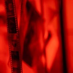 Quiz cinéma : 15 questions difficiles pour tester vos connaissances de cinéphile