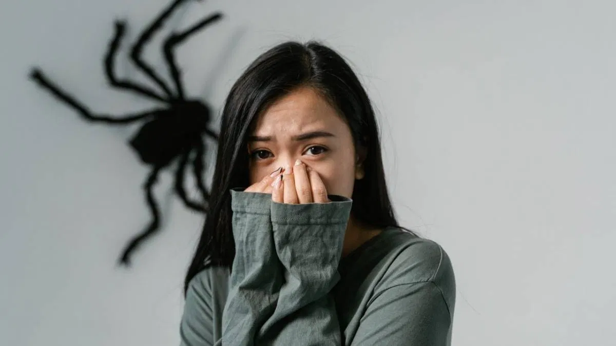 Quiz sur les phobies : saurez-vous identifier ces peurs irrationnelles ?