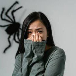 Quiz sur les phobies : saurez-vous identifier ces peurs irrationnelles ?