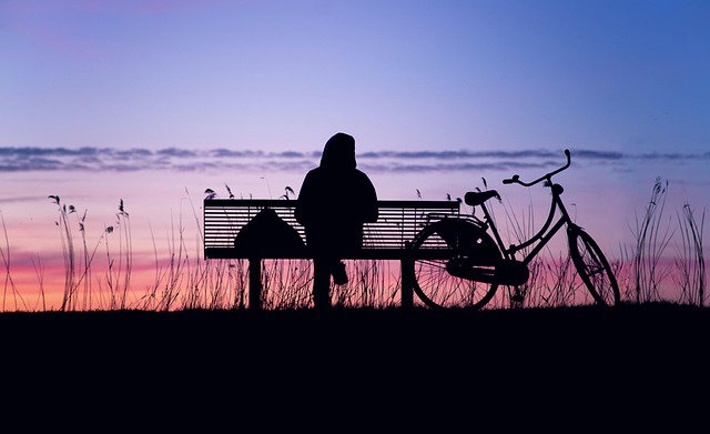 Melk Hagelslag from Pixabay : la solitude choisie