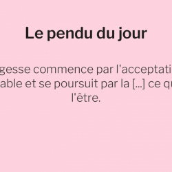 Le pendu du 8 juillet 2026 : saurez-vous deviner le mot caché dans cette citation ?