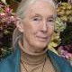 Jane Goodall