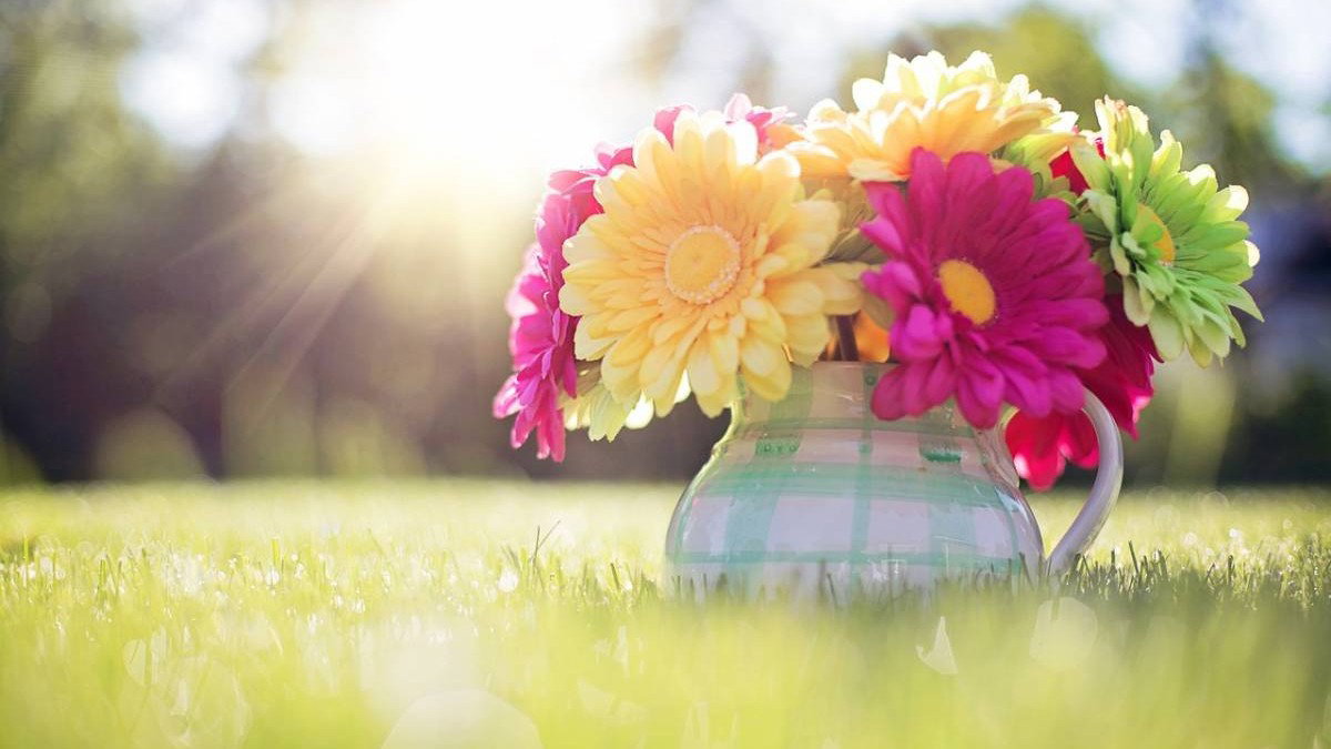 Les meilleures citations pour remonter le moral et retrouver le sourire