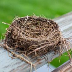 Quand la maison devient trop grande : ce que l'on ressent vraiment quand les enfants partent