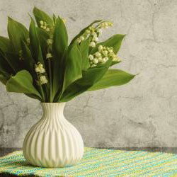 Quiz 1er mai : testez vos connaissances sur la fête du travail et ses traditions