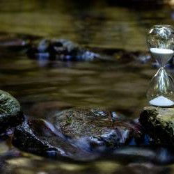 La vertu de la patience : les secrets pour ralentir et retrouver le calme