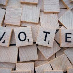 Le Top Des Citations Sur Les Elections Et Le Vote