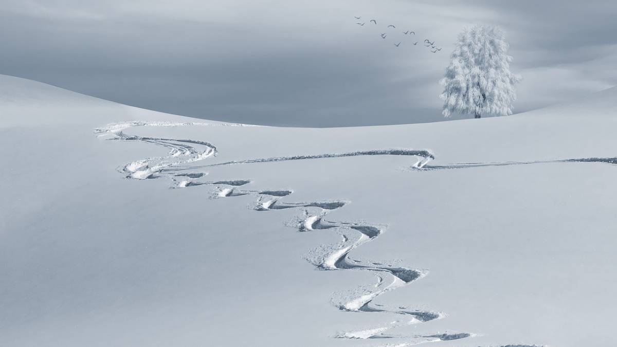 citations de flocon de neige uniques