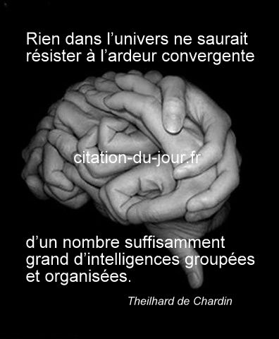 Citation Pierre Teilhard De Chardin Nature Intelligence Rien Dans L Univers