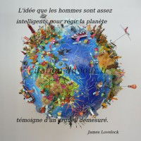 Intelligence Et Homme 80 Citations Courtes Et Proverbes