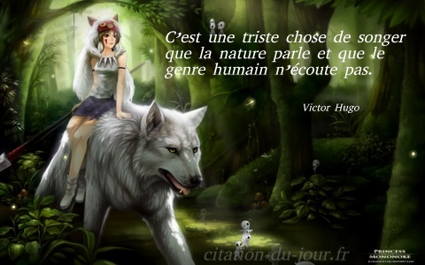 30 Citations Victor Hugo Nature