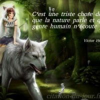 Tristesse Et Nature 10 Citations Courtes Et Proverbes