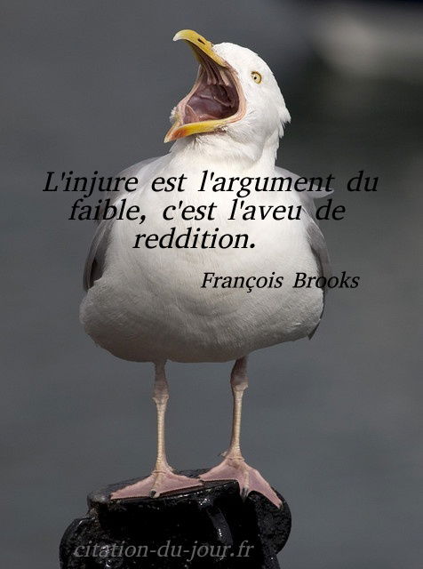 Citation Francois Brooks Faiblesse L Injure Est L Argument Du Faible C Est