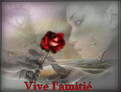 Citation Mazouz Hacene Amitie Famille L Amitie Compense Les Citation Mazouz Hacene Amitie Famille L Amitie Compense Les