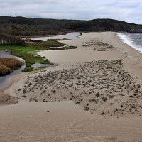 L'amour c'est comme le ressac des vagues de la mer,  il apporte des trésors de tendresse à chaque battement de coeur.