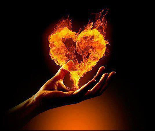 Citation Mazouz Hacene Feu Amour L Amour Est Un