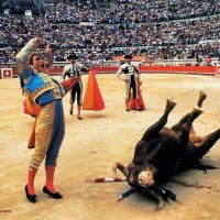 Une arène de corrida, le palais de l'injustice, le taureau se bat pour sa survie, le torero exhibe son crime et s'en réjouit sous les applaudissement du jury, le public.