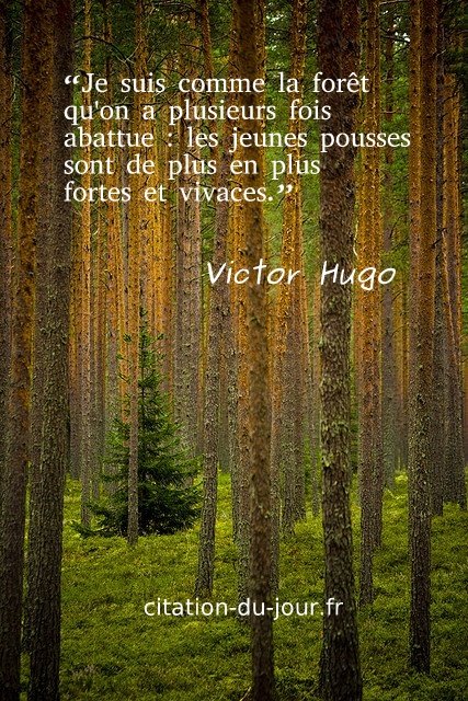 Citation Victor Hugo Foret Je Suis Comme La Foret Qu On
