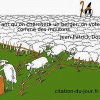 Tant qu'on cherchera un berger, on votera comme des moutons.