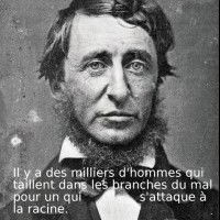 Il y a des milliers d'hommes qui taillent dans les branches du mal pour un qui s'attaque à la racine.