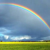 À tout arc-en-ciel, l'orage est inéluctable.