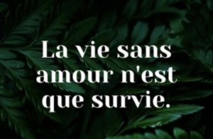 La vie sans amour n’est que survie.