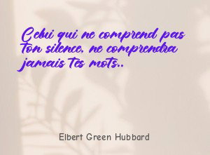 Celui qui ne comprend pas ton silence, ne comprendra jamais