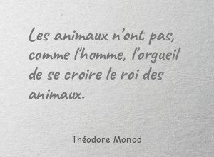 Les animaux n'ont pas, comme l'homme, l'orgueil de se croire