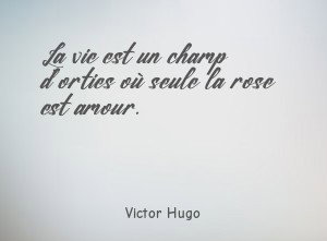 La vie est un champ d'orties où seule la rose