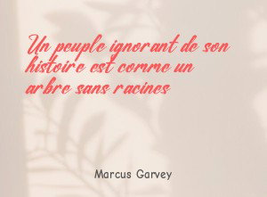 Un peuple ignorant de son histoire est comme un arbre
