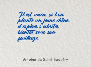 Il est vain, si l'on plante un jeune chêne, d'espérer