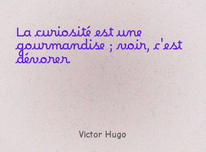 La curiosité est une gourmandise ; voir, c'est dévorer.