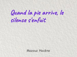 Quand la pie arrive, le silence s'enfuit