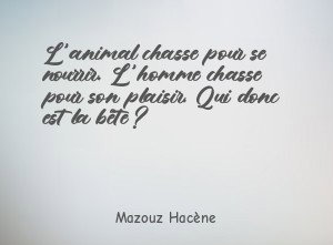 L'animal chasse pour se nourrir. L'homme chasse pour son plaisir.