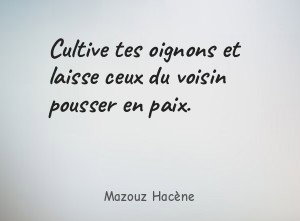 Cultive tes oignons et laisse ceux du voisin pousser en