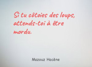 Si tu côtoies des loups, attends-toi à être mordu.