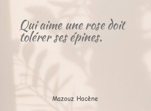 Qui aime une rose doit tolérer ses épines.