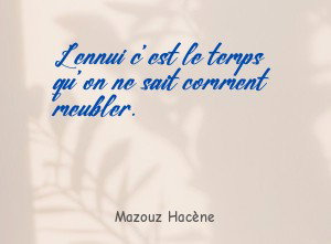 L'ennui c'est le temps qu'on ne sait comment meubler.