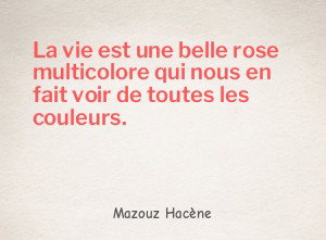 La vie est une belle rose multicolore qui nous en